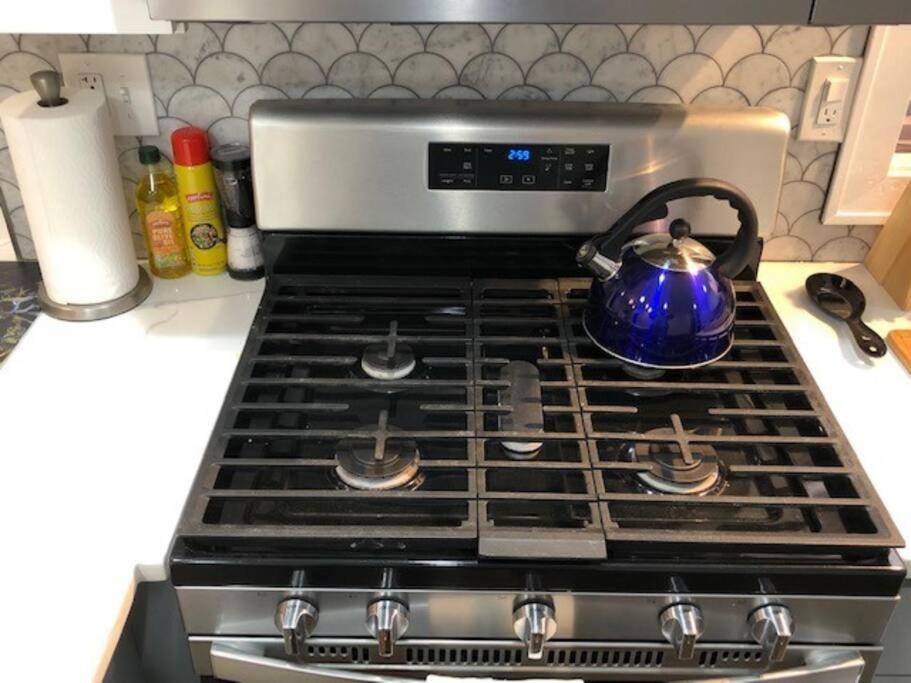 The Blue Golden Luxury Modern 3- Bedroom Apartment In Chicago Dış mekan fotoğraf